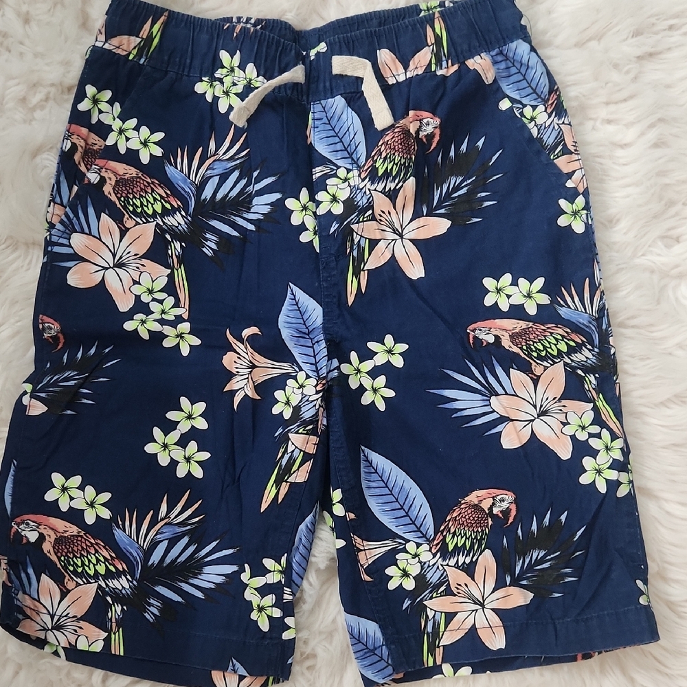 Place Tropical Parrot Print Boys Shorts